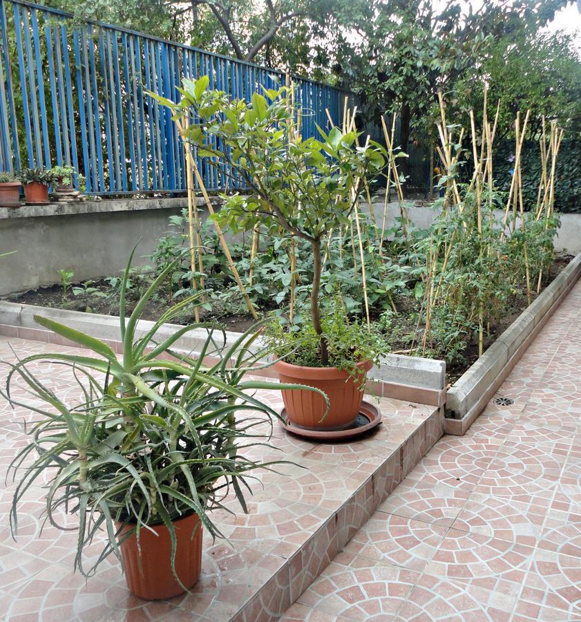 روما Lunablu المظهر الخارجي الصورة